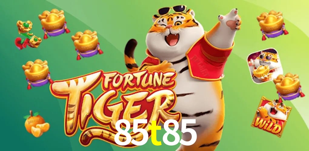 Bonus Features 85t85